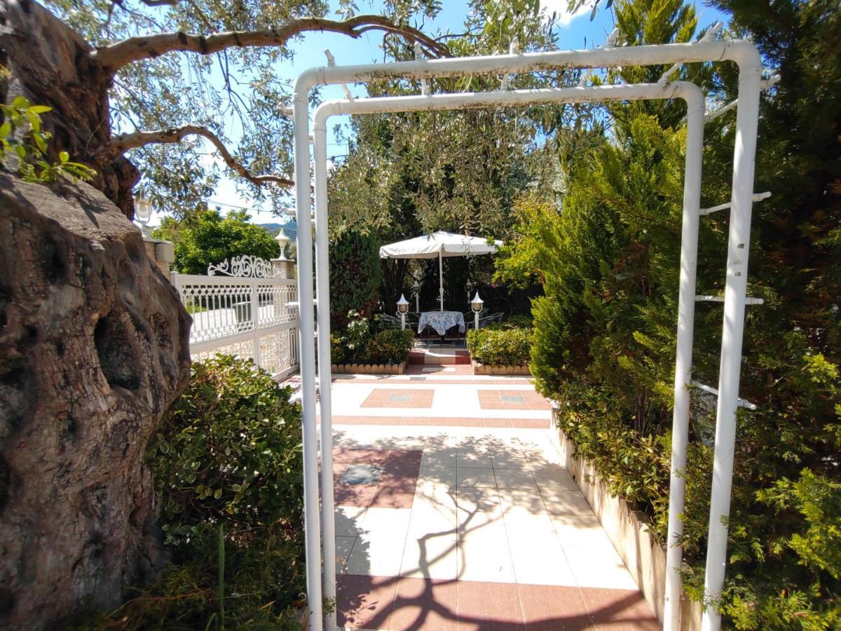 Ioli Garden Daire Limenas  Dış mekan fotoğraf